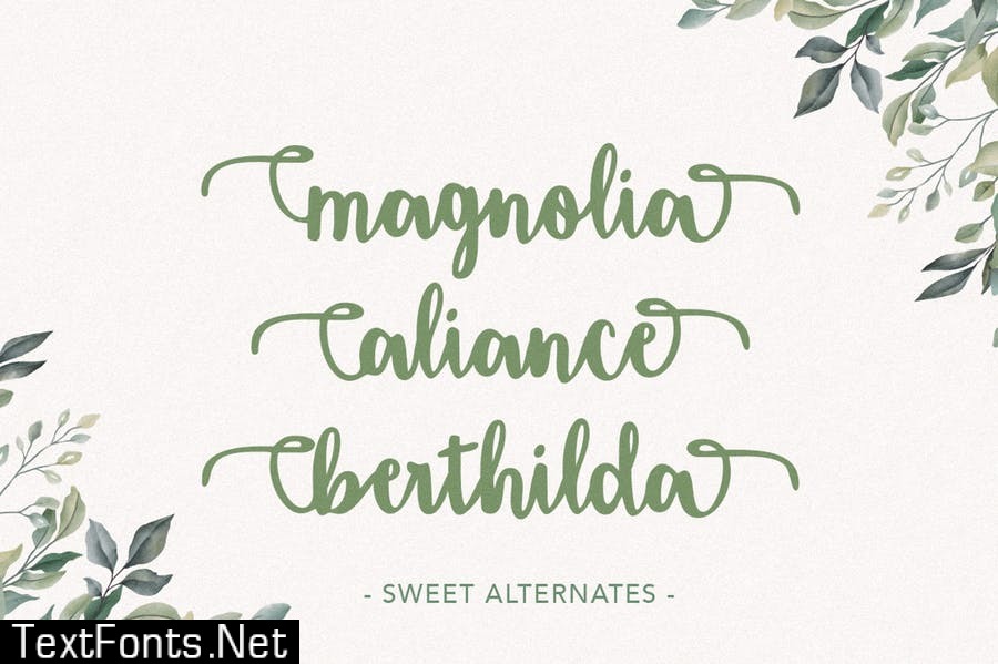 Amigueta Script Font