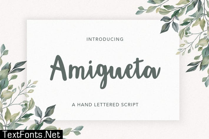 Amigueta Script Font