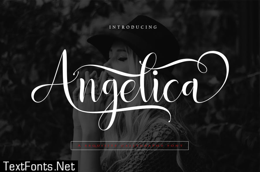 Angelica Script Font EE24X34