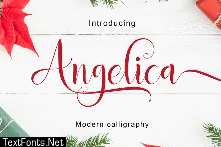 Angelica Script Font EE24X34