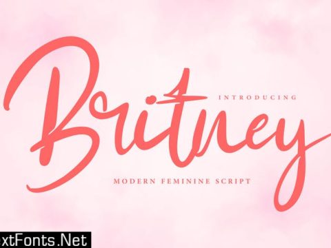 Britney | Modern Script Font BLKP889