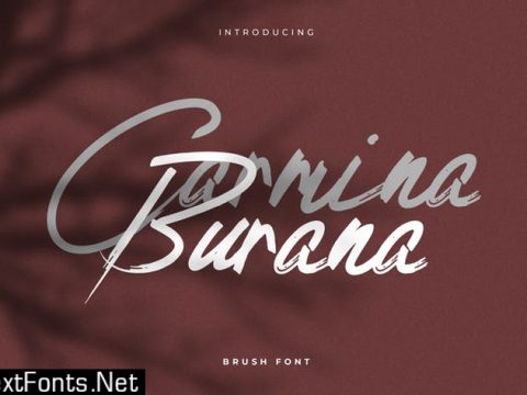 Carmina Burana - Grunge Brush Font