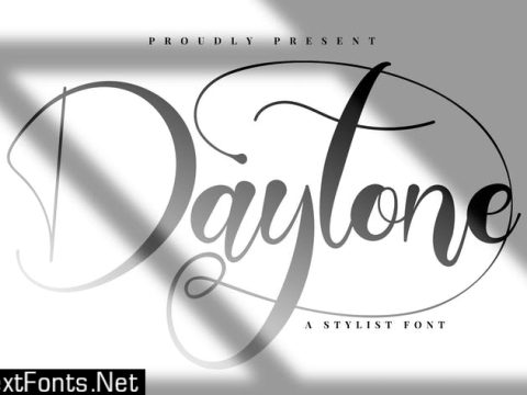 Daytone | Stylist Script Font