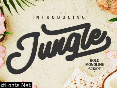 Jungle | Monoline Bold Script