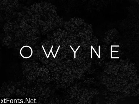 OWYNE - Modern Fashion / Stylish Typeface