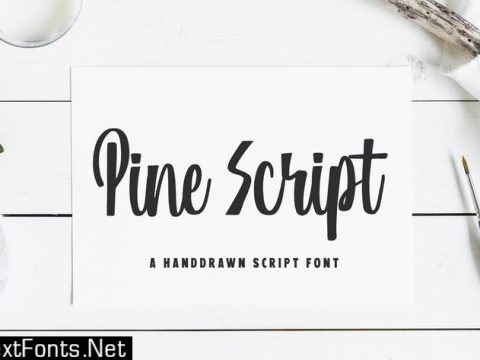 Pine Script Font