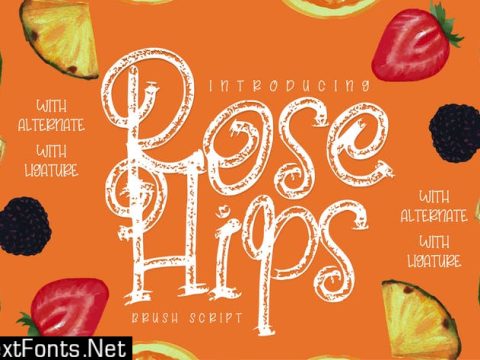 Rose Hips | Decorative Fruit Font S7T4YLC