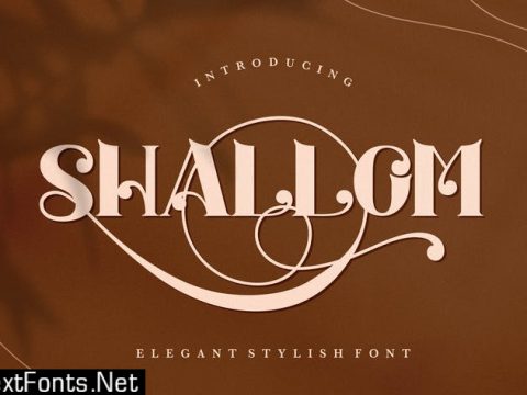 Shallom - Elegant Stylish Serif Font 8ZCQ3W7