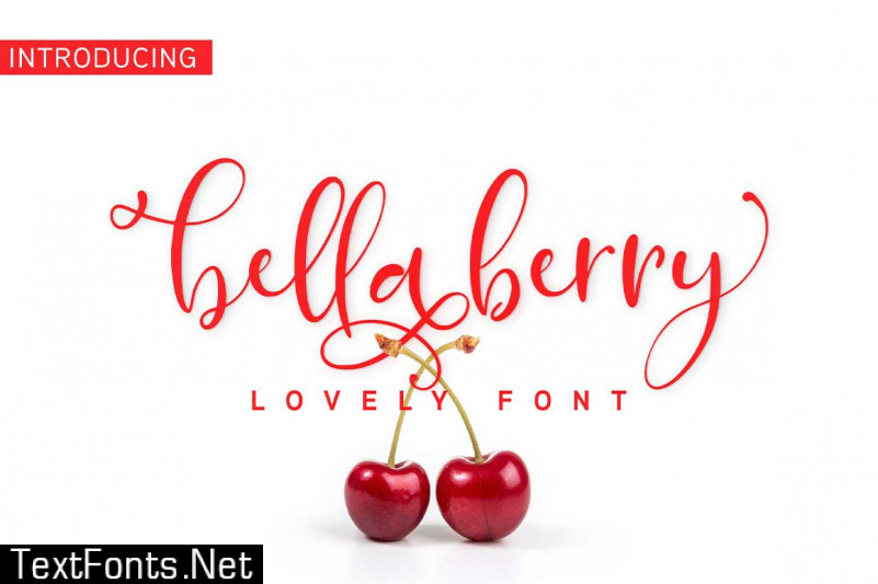 BellaBerry Script Font