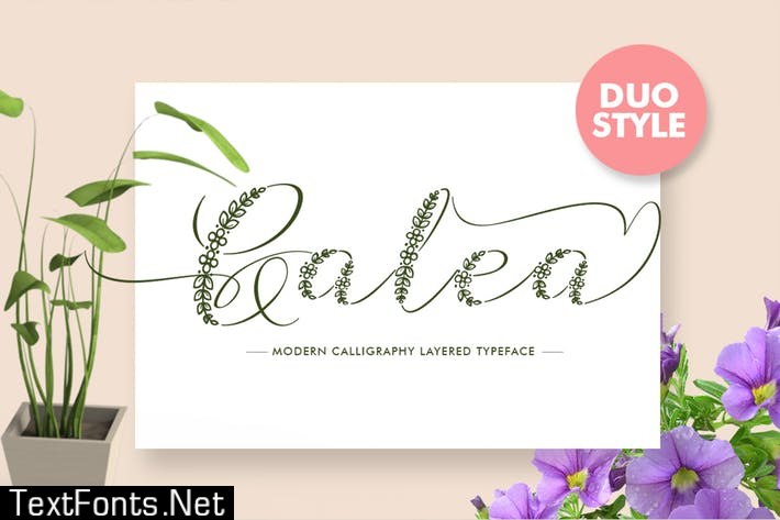 Galea Script Font