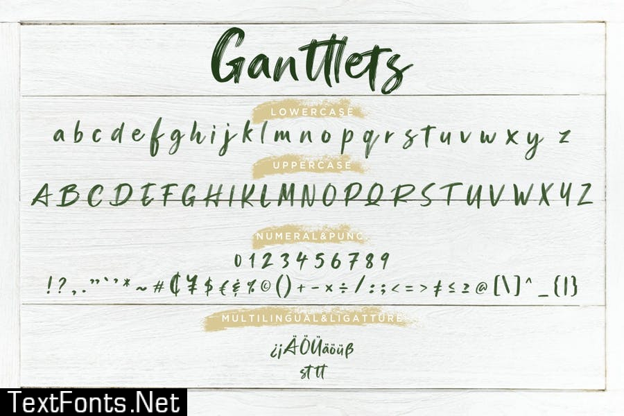 Ganttlets Brush Script Font