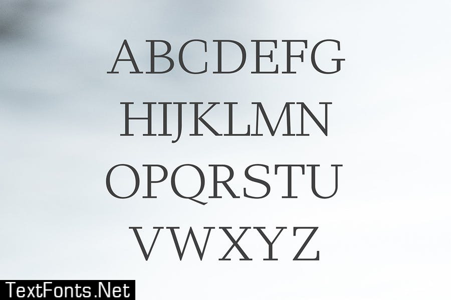 Haddie Modern Serif Font Family