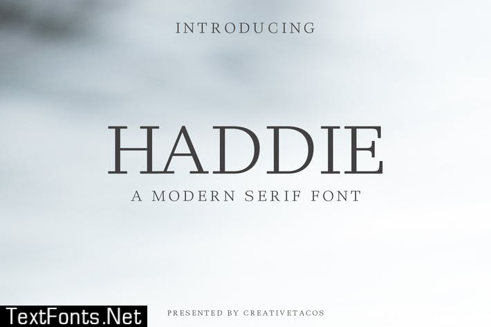 Haddie Modern Serif Font Family