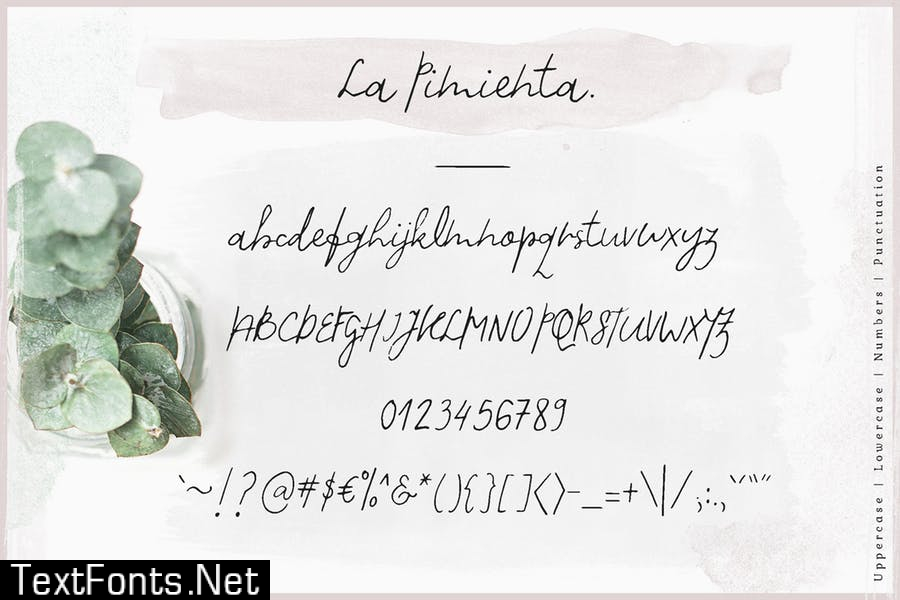 La Pimienta Font