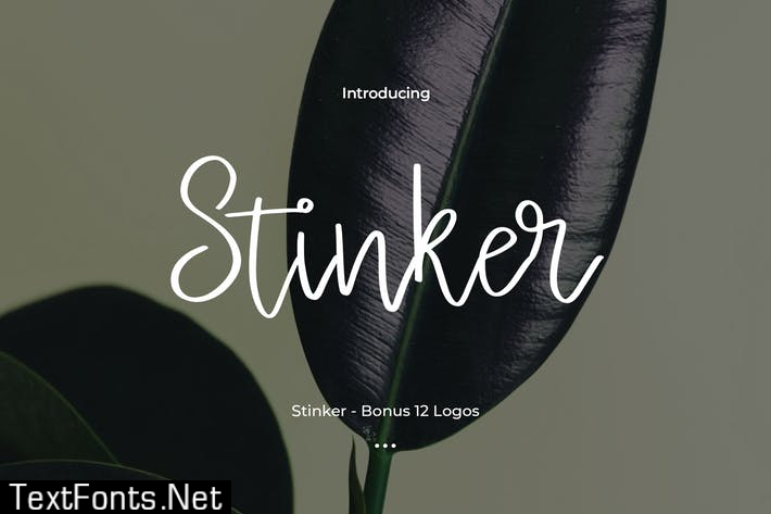 Stinker - Bonus 12 Logos Design Template