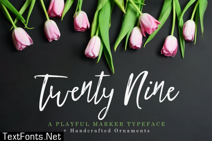 Twenty Nine Font