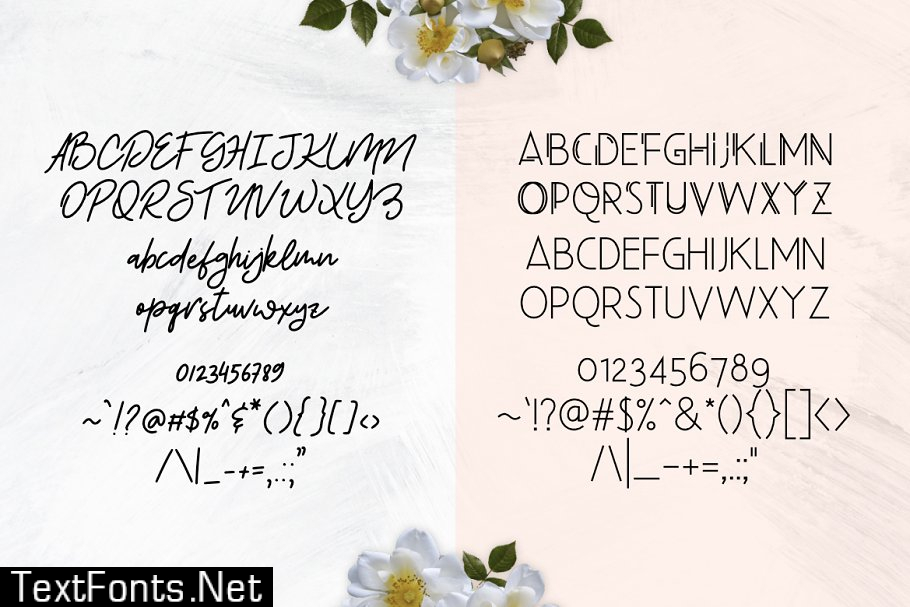 Beauty Salon Modern Font Duo 2543059