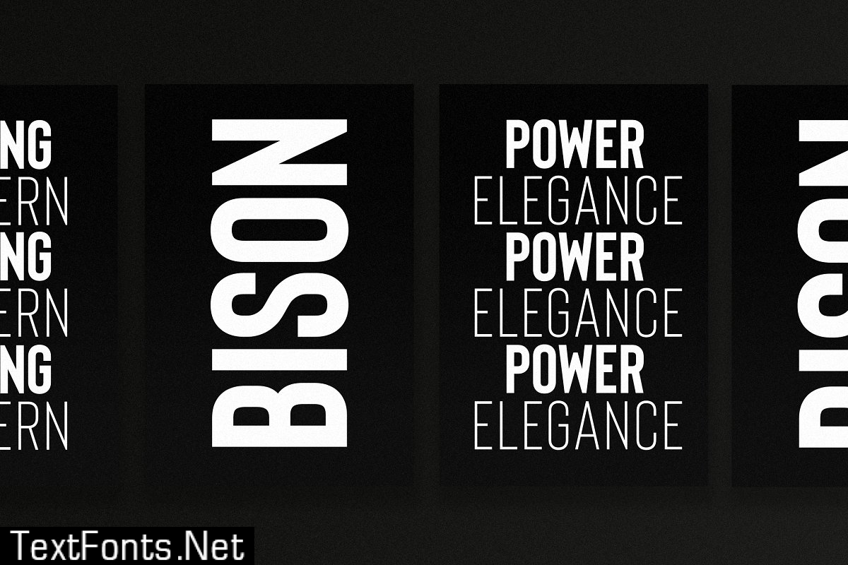 Bison - Powerful Sans Serif 2361604