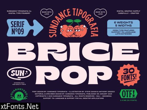 Brice Font Family