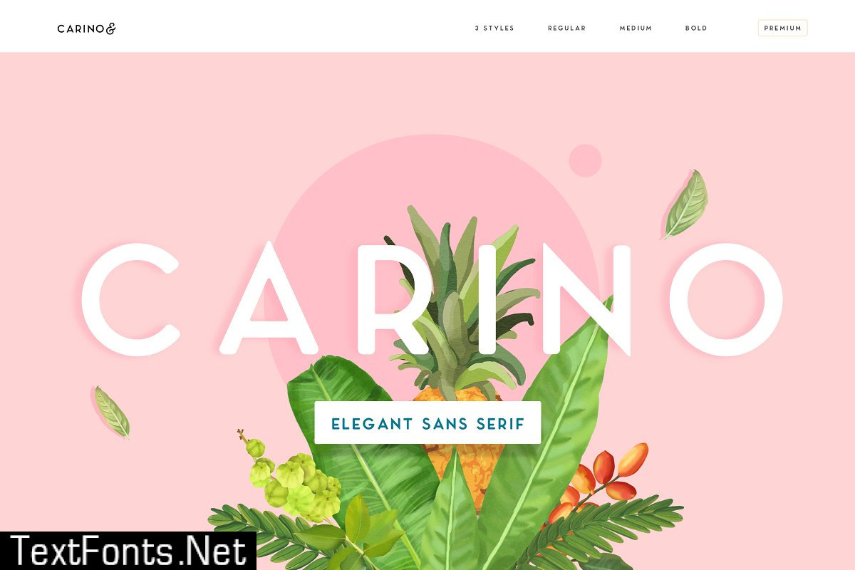 Carino - A Modern Elegant Typeface 3537716