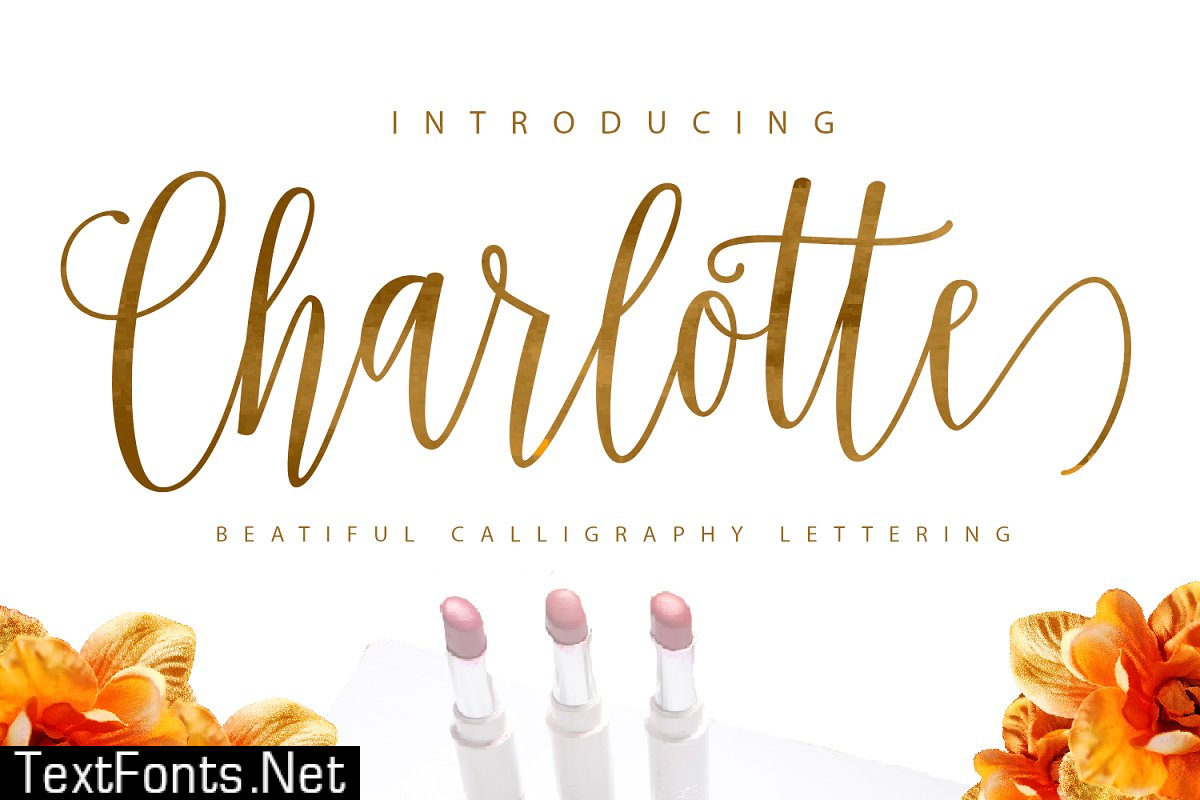 Charlotte Script 880864