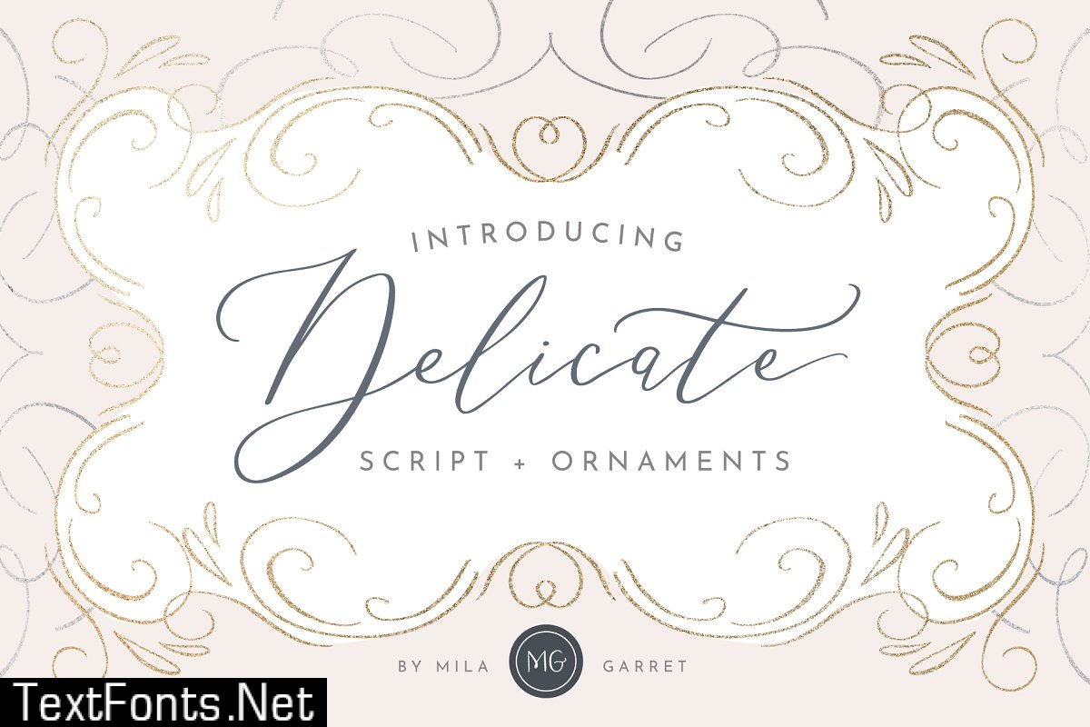 Delicate Elegant Script & Ornaments 2269416