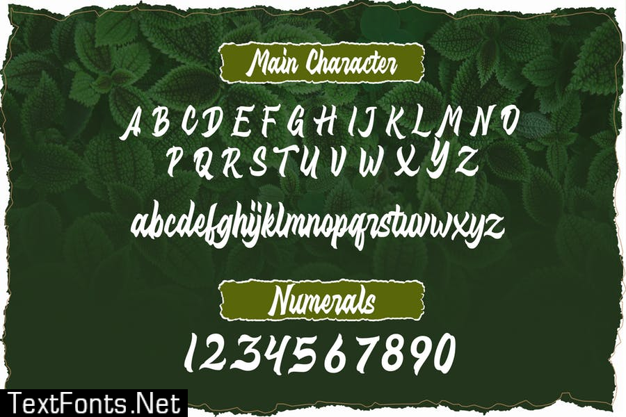 Distropica Display Font