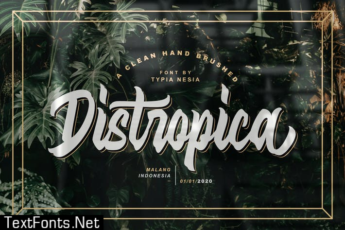 Distropica Display Font