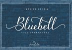 Fontbundles - Bluebell - Calligraphy Font 110429