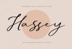 Hassey - A Modern Calligraphy Font
