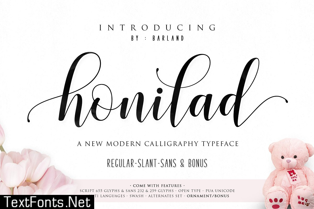 Honilad Calligraphy Typeface 1042175