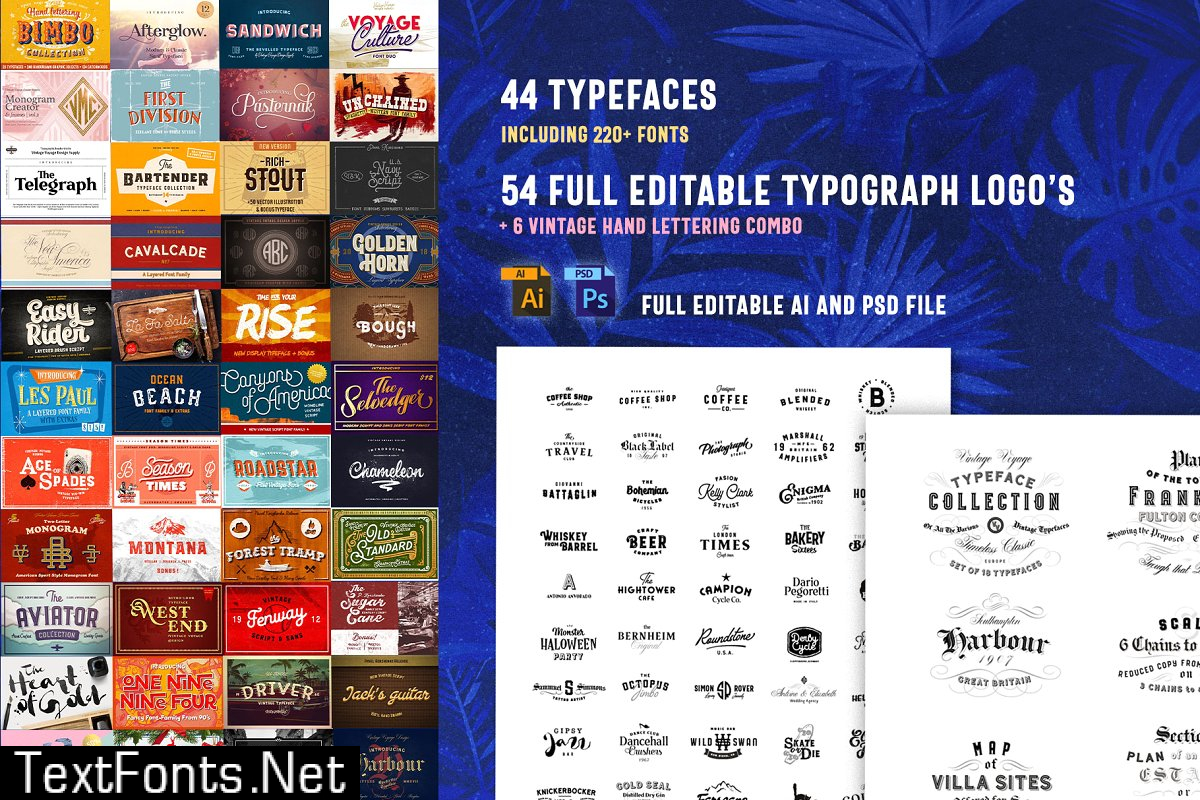 Huge Typographic Pack + 60 Logos ! 2798169