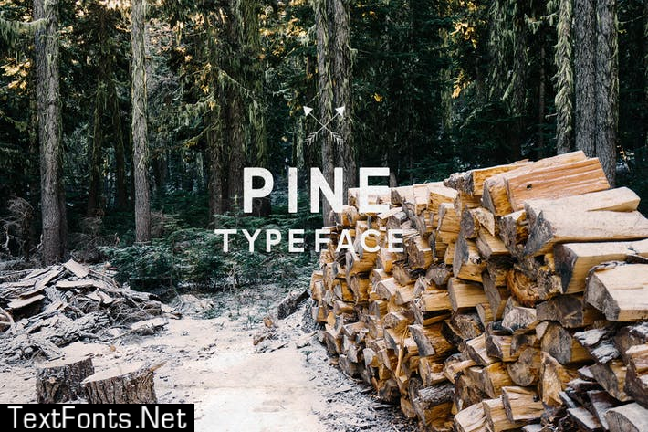 Pine Font