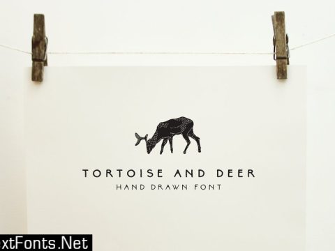 Tortoise and Deer Font Family 1803079