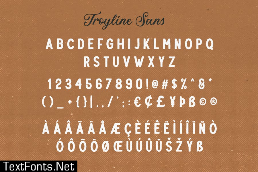 Troyline - Font Duo (+Logotype)