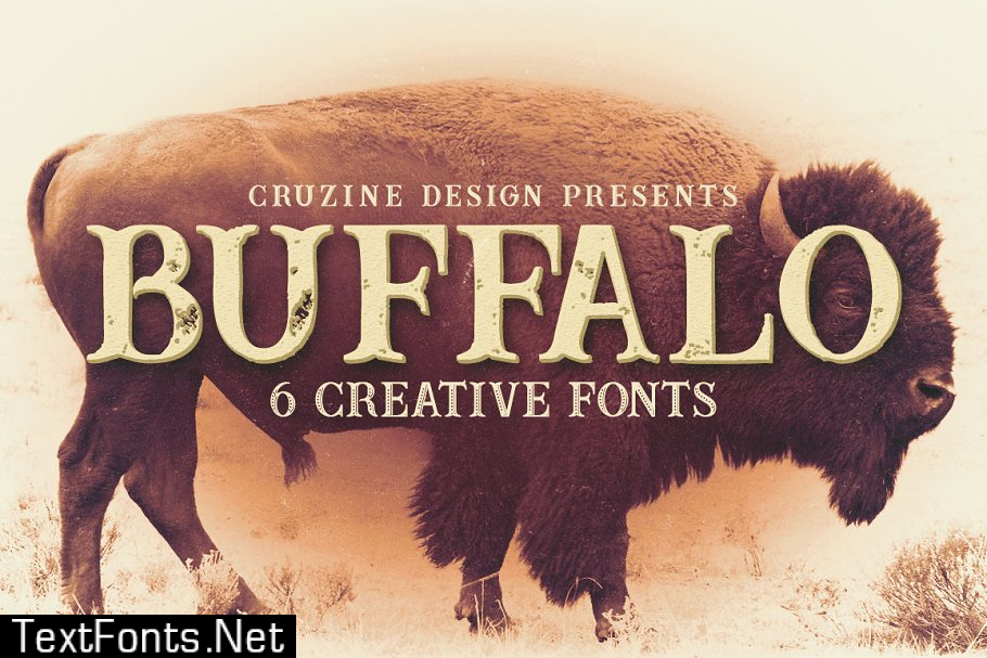 Vintage Bundle 249 Fonts & 414 Logos 3264710