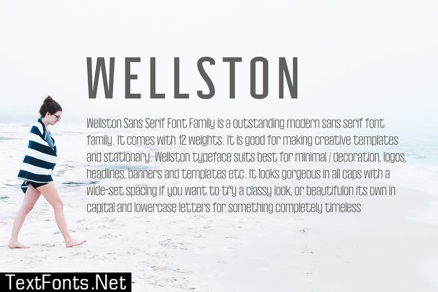 Wellston Modern Sans Serif Font