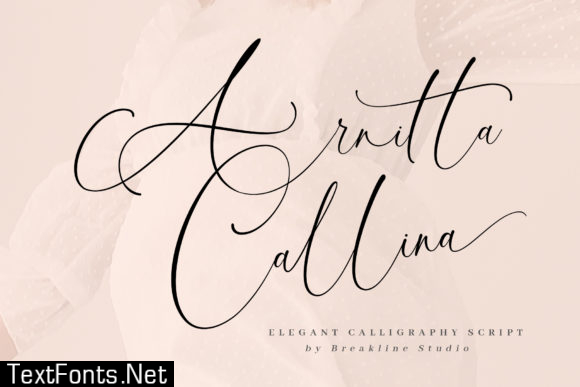 Arnitta Callina Font