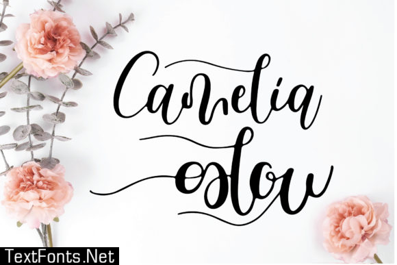 Camelia Glow Font