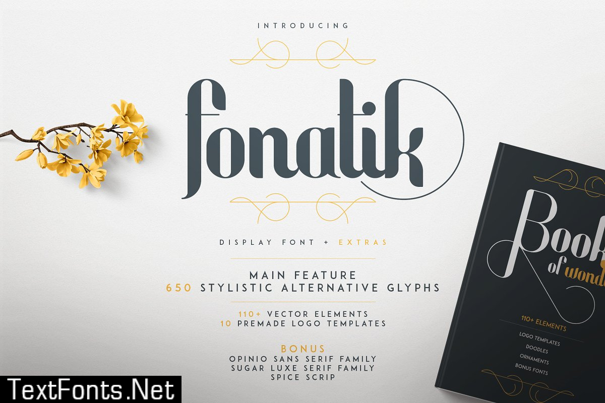 Fonatik Display font + Extras 2883460