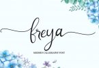 Freya - Modern Calligraphy Font