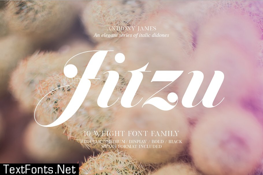 Jitzu Font Family 681818