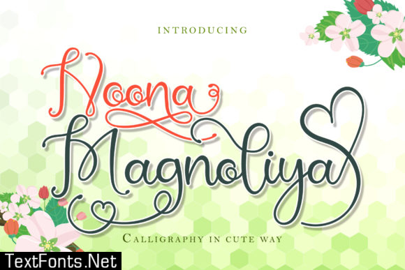 Noona Magnoliya Font