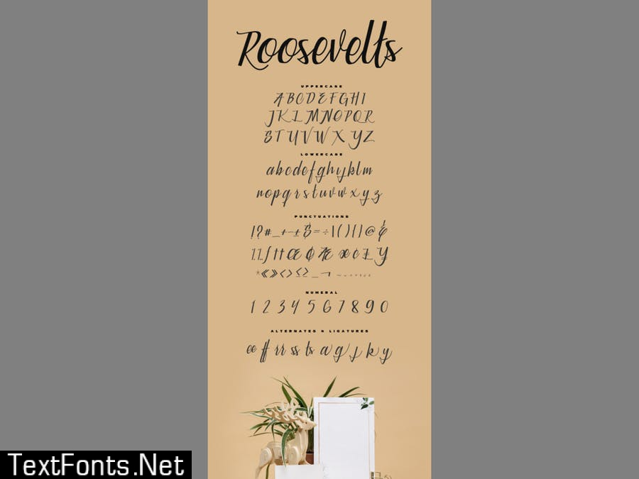 Roosevelts - Display Script Font