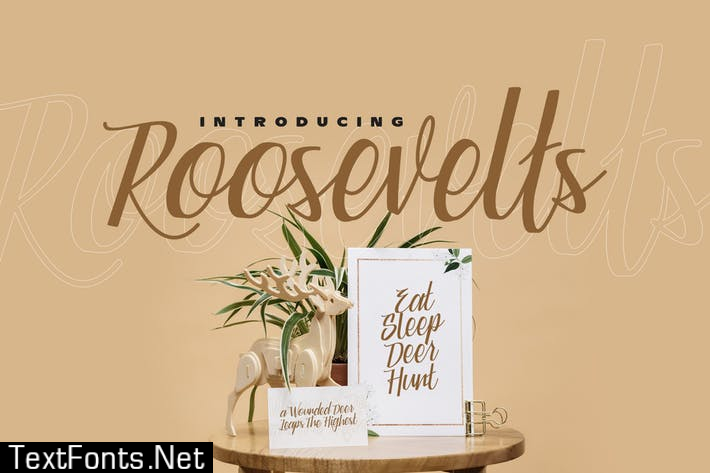 Roosevelts - Display Script Font