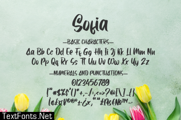 Sofia Font