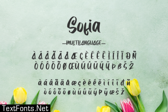 Sofia Font