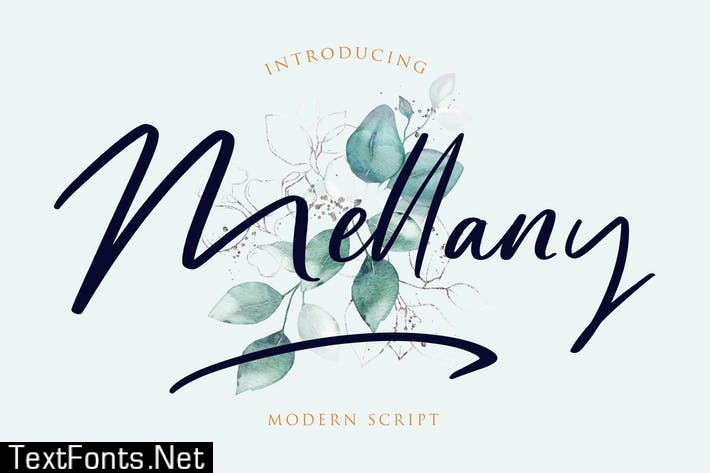 Mellany Modern Script Font