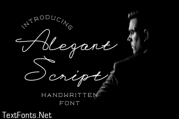 Alegant Script Font