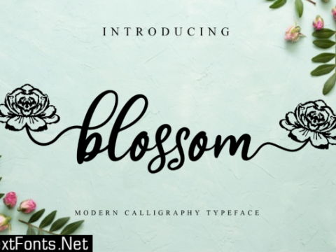 Blossom Font